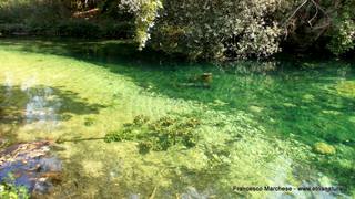 stello marchesa di Cassibile-10-02-2015 19-57-58